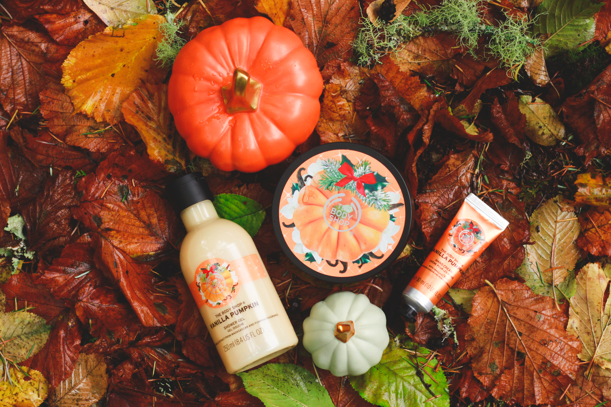 Reminiscing on Autumn | eyreeffect.com